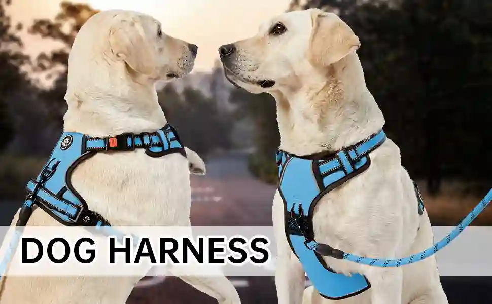 Types of Dog Harnesses: Which Is Best for Your Pup?