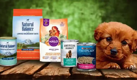 Grain-Free vs. Grain-Inclusive Dog Food: Pros and Cons