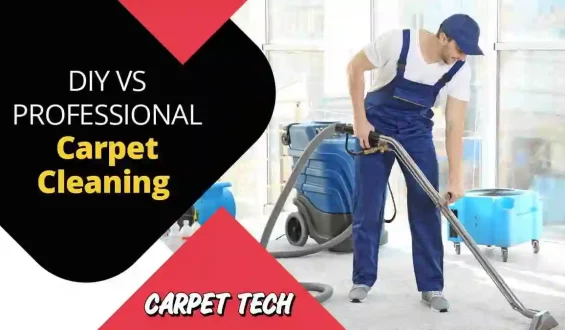 DIY vs. Professional Rug Cleaning: Which Is Right for You?