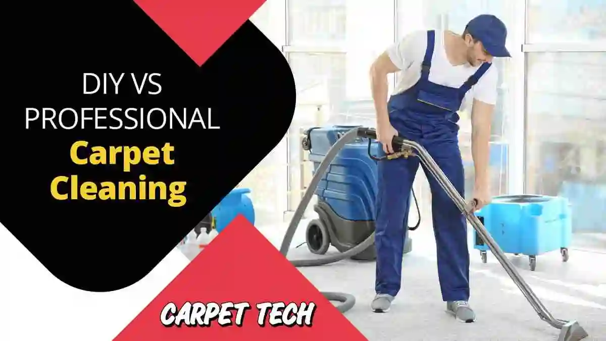 DIY vs. Professional Rug Cleaning: Which Is Right for You?